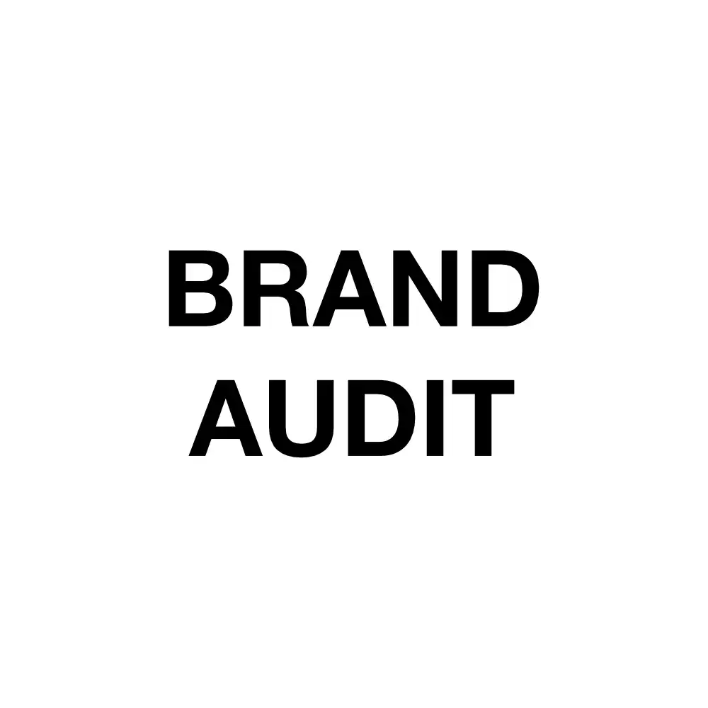 Brand Audit Explained
