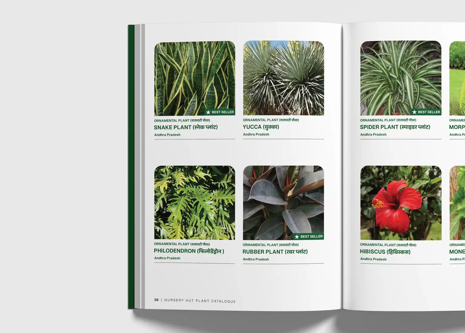 Nursery Hut Catalogue